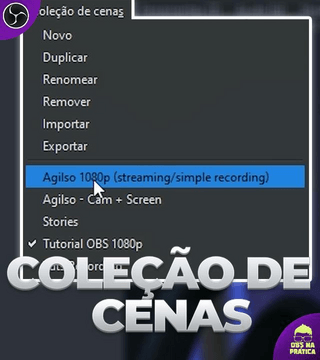 Coleções de Cenas - Organizando Projetos